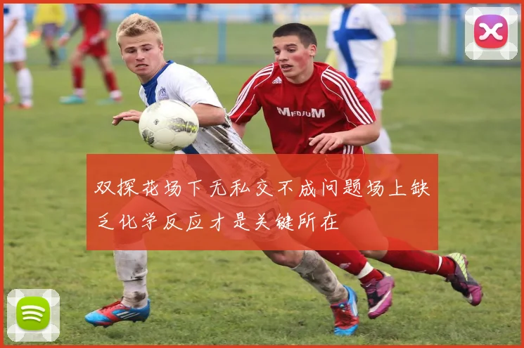双探花场下无私交不成问题场上缺乏化学反应才是关键所在